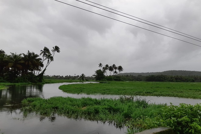 Monsoon magic